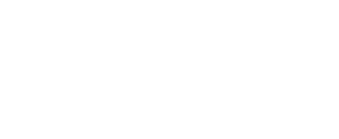 Logo Aduanal Okun